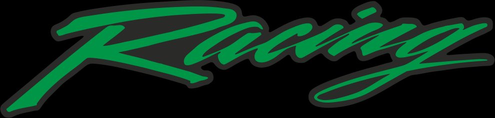 PACKAGE OF 10 PCS. LABELS RACING GREEN