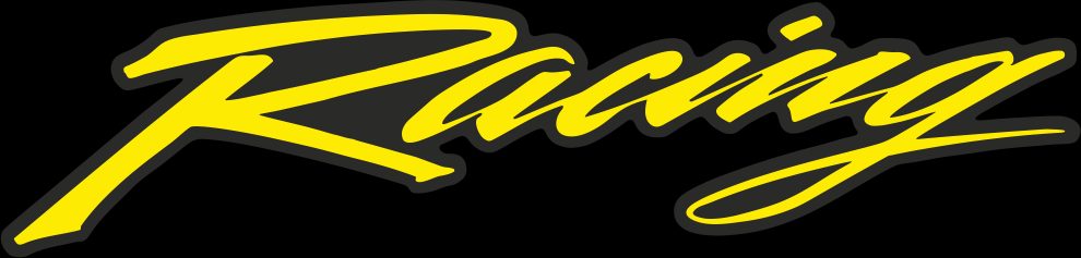 PACKAGE OF 10 PCS. LABELS RACING YELLOW