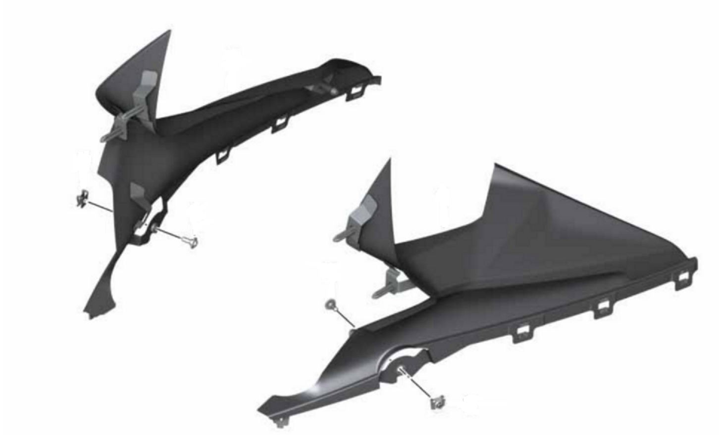 BMW M 1000 RR Zijbekleding boven links/rechts (Carbon) foto 2