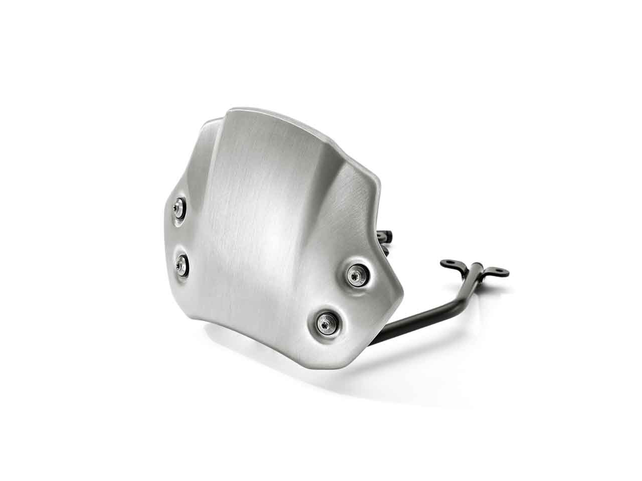 BMW R nine T Aluminium kuipruit hand geborsteld