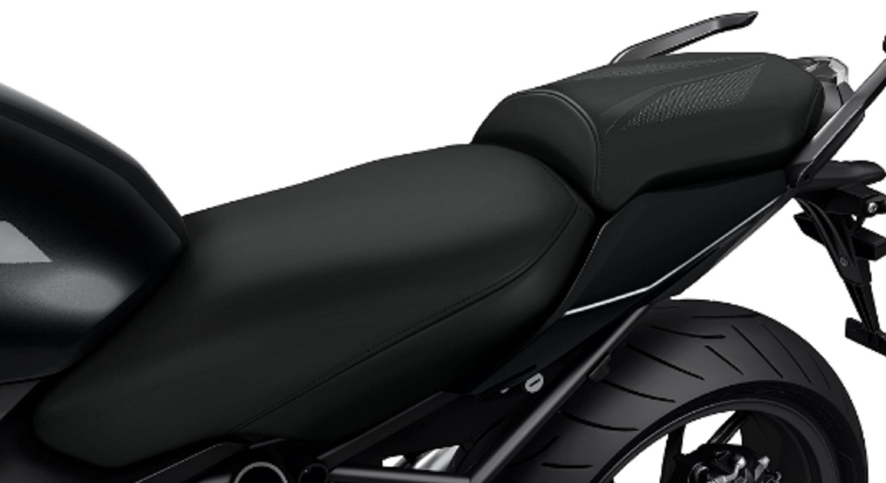 BMW Berijders-buddyseat Sport