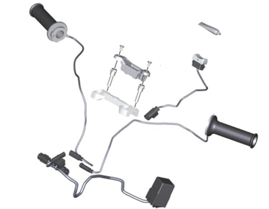 BMW G 310 GS /R Set handvat verwarming foto 2