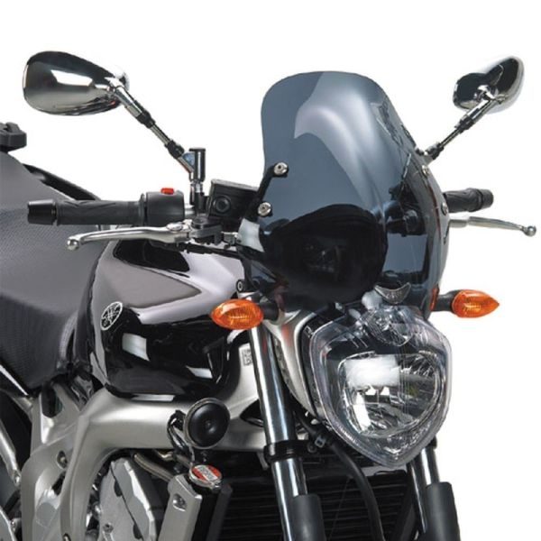 140D-SPOILER FZ6 04-06