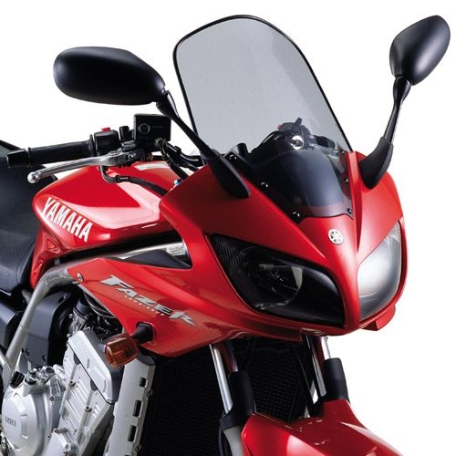 D129S-SPOILER FZS 1000 01