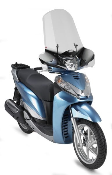 307A-WINDSHIELD SH300 07