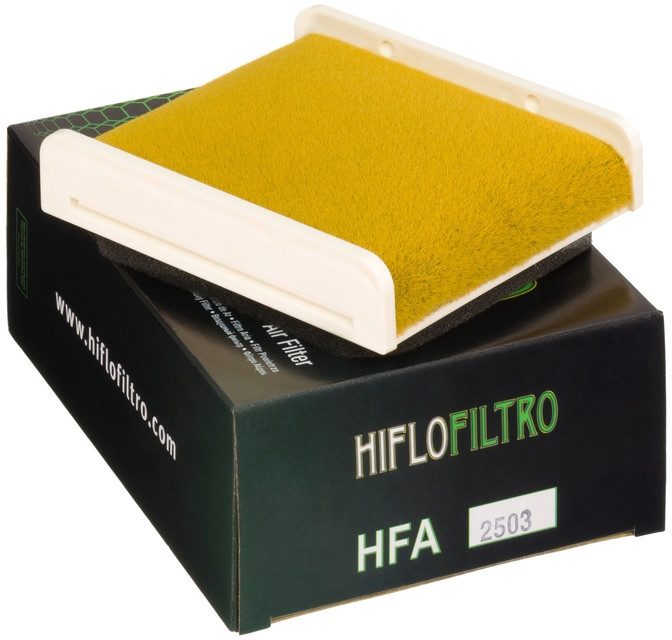 AIR FILTER, HFA2503