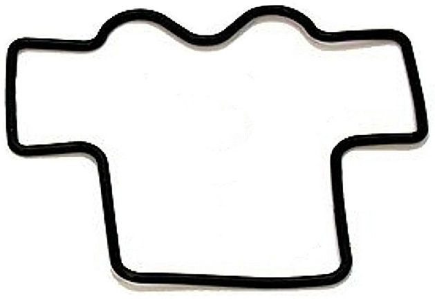 CHAMBER GASKET K154