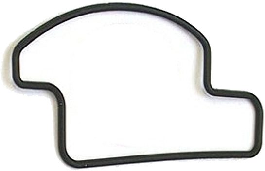 CHAMBER GASKET K161