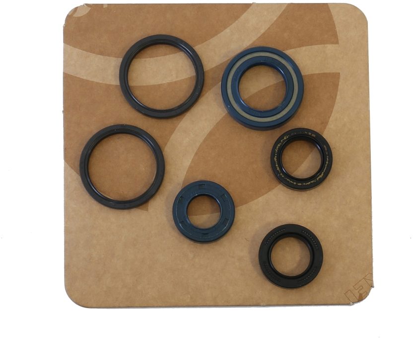 ENGINE OIL SEALS KIT foto 2