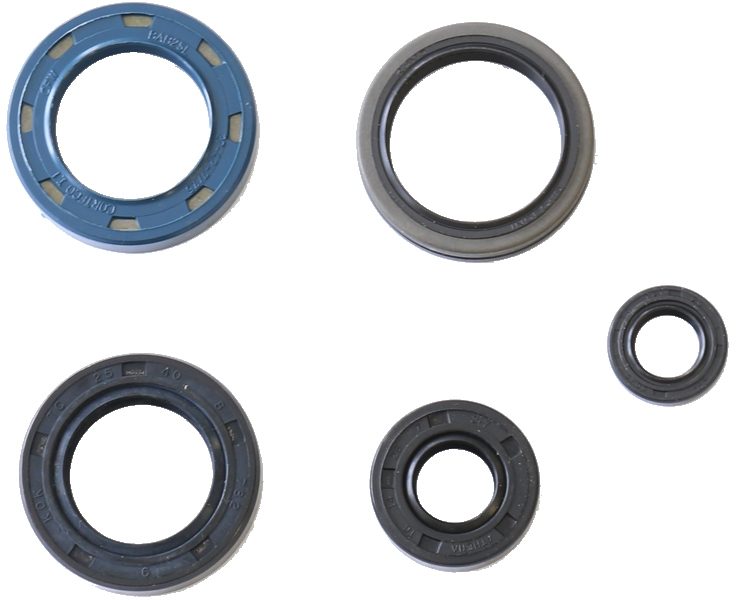 COMPLETE ENGINE OIL SEALS KIT