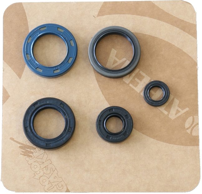 COMPLETE ENGINE OIL SEALS KIT foto 2