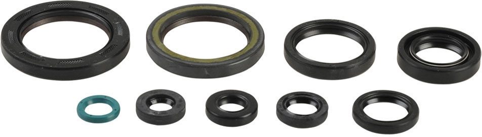 COMPLETE ENGINE OIL SEALS KIT