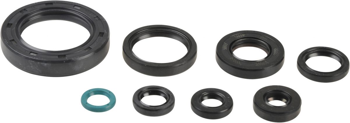 COMPLETE ENGINE OIL SEALS KIT