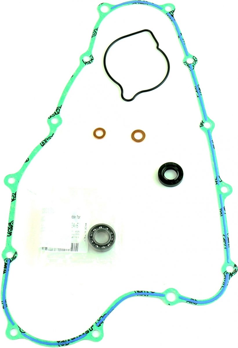 GASKET & OIL SEAL KIT