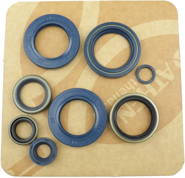COMPLETE ENGINE OIL SEALS KIT foto 2