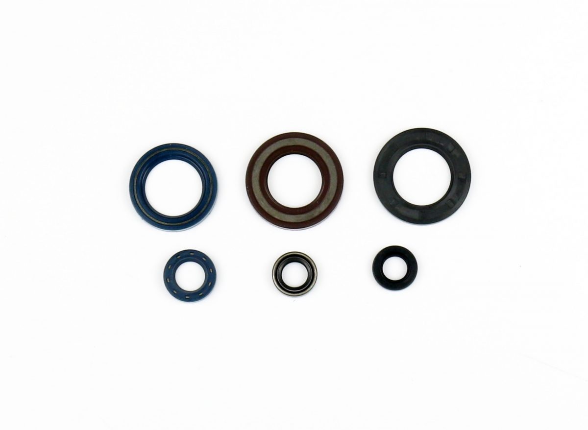COMPLETE ENGINE OIL SEALS KIT
