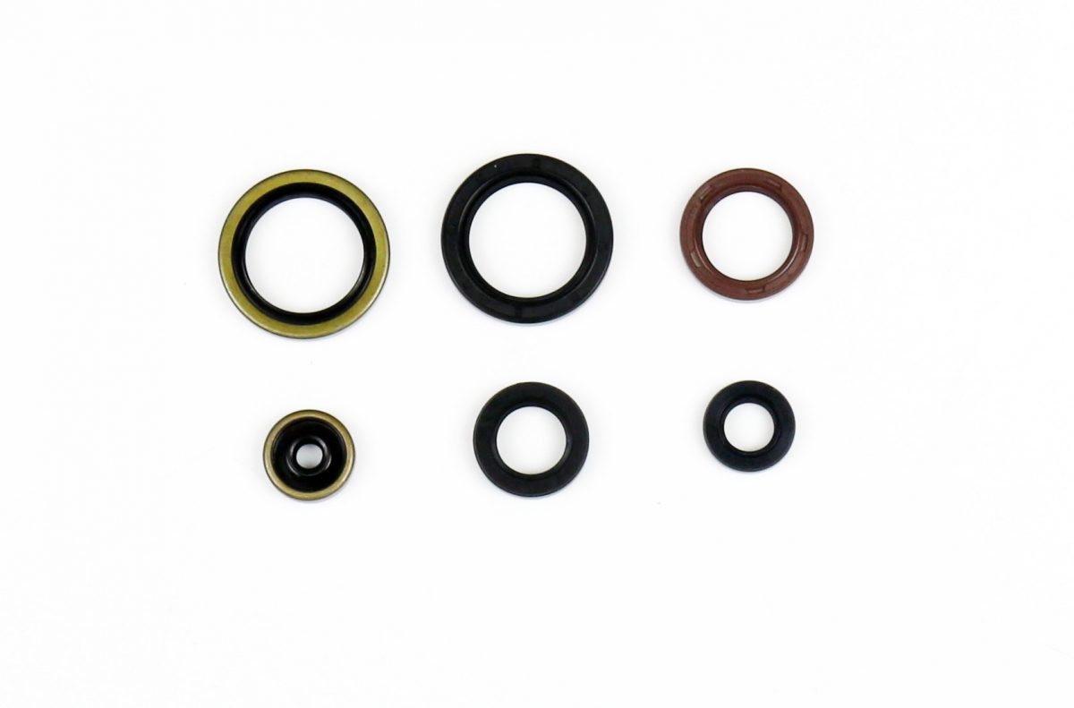 COMPLETE ENGINE OIL SEALS KIT
