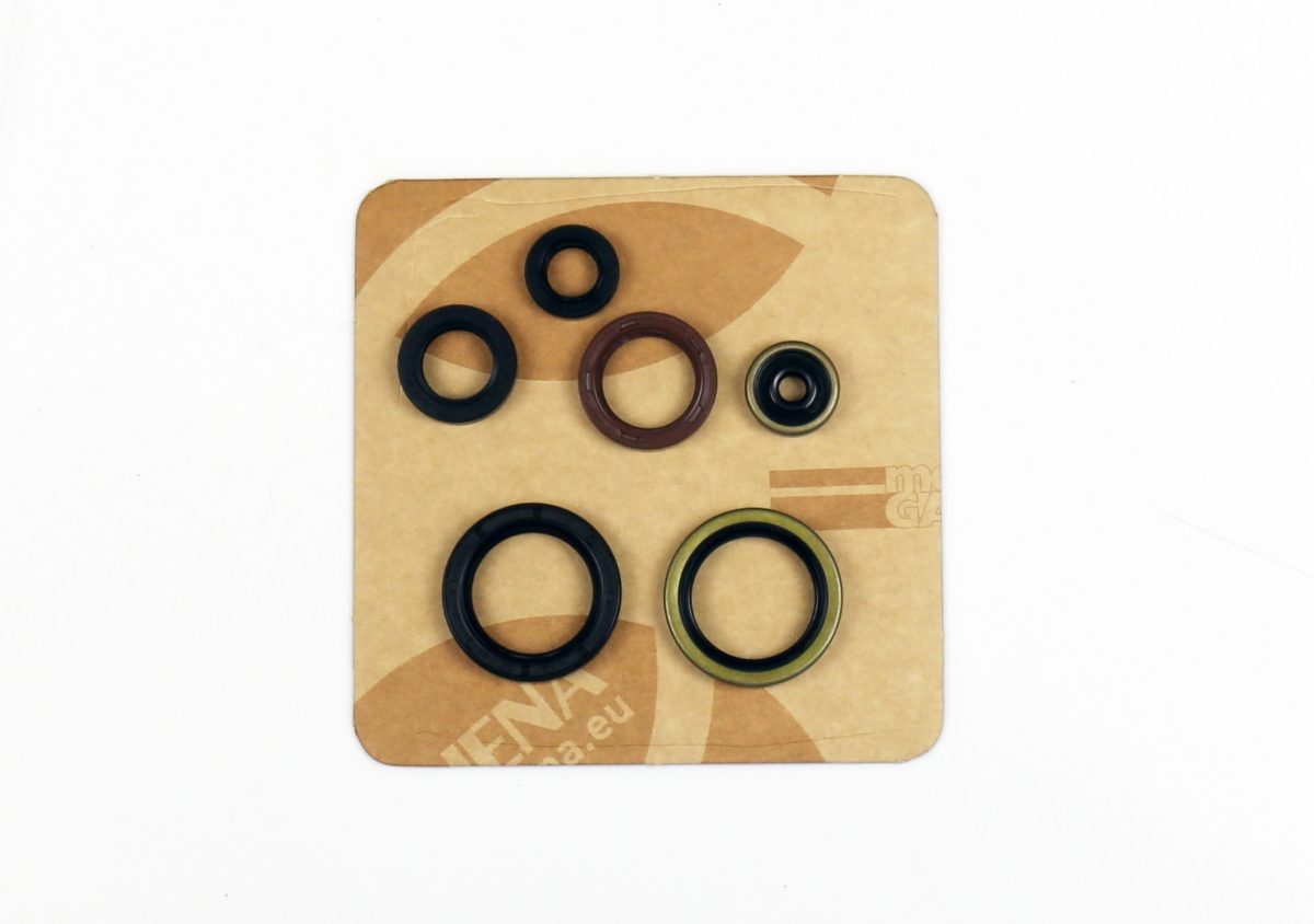 COMPLETE ENGINE OIL SEALS KIT foto 2