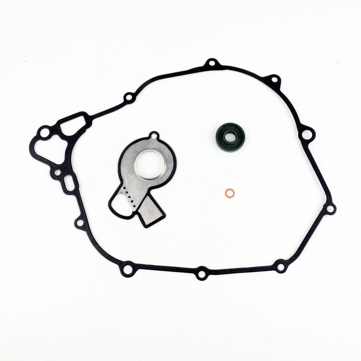 GASKET & OIL SEAL KIT