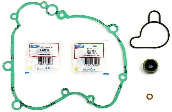 GASKET & OIL SEAL KIT