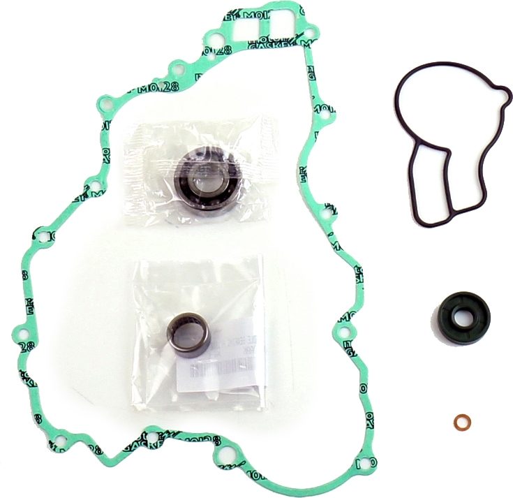 GASKET & OIL SEAL KIT foto 2