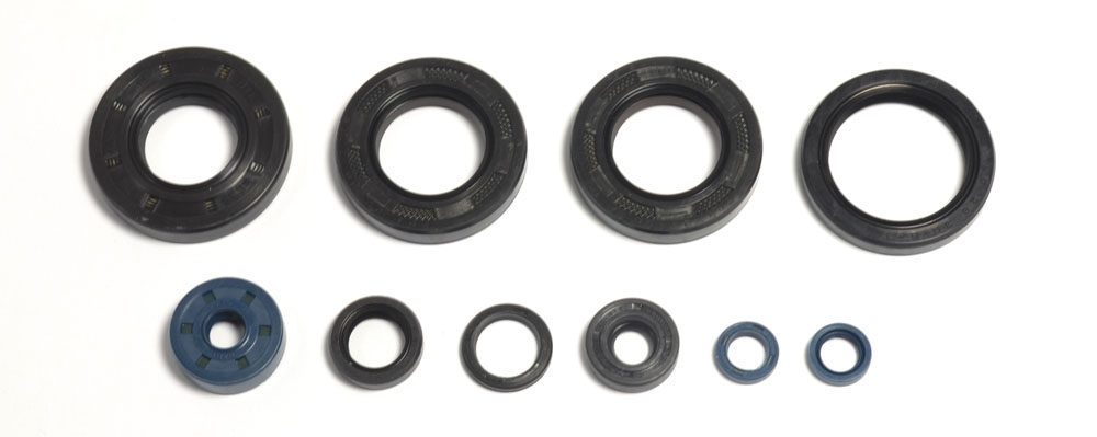 COMPLETE ENGINE OIL SEALS KIT