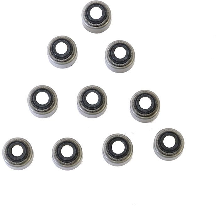 VALVE STEM SEALS KIT (10 PCS)