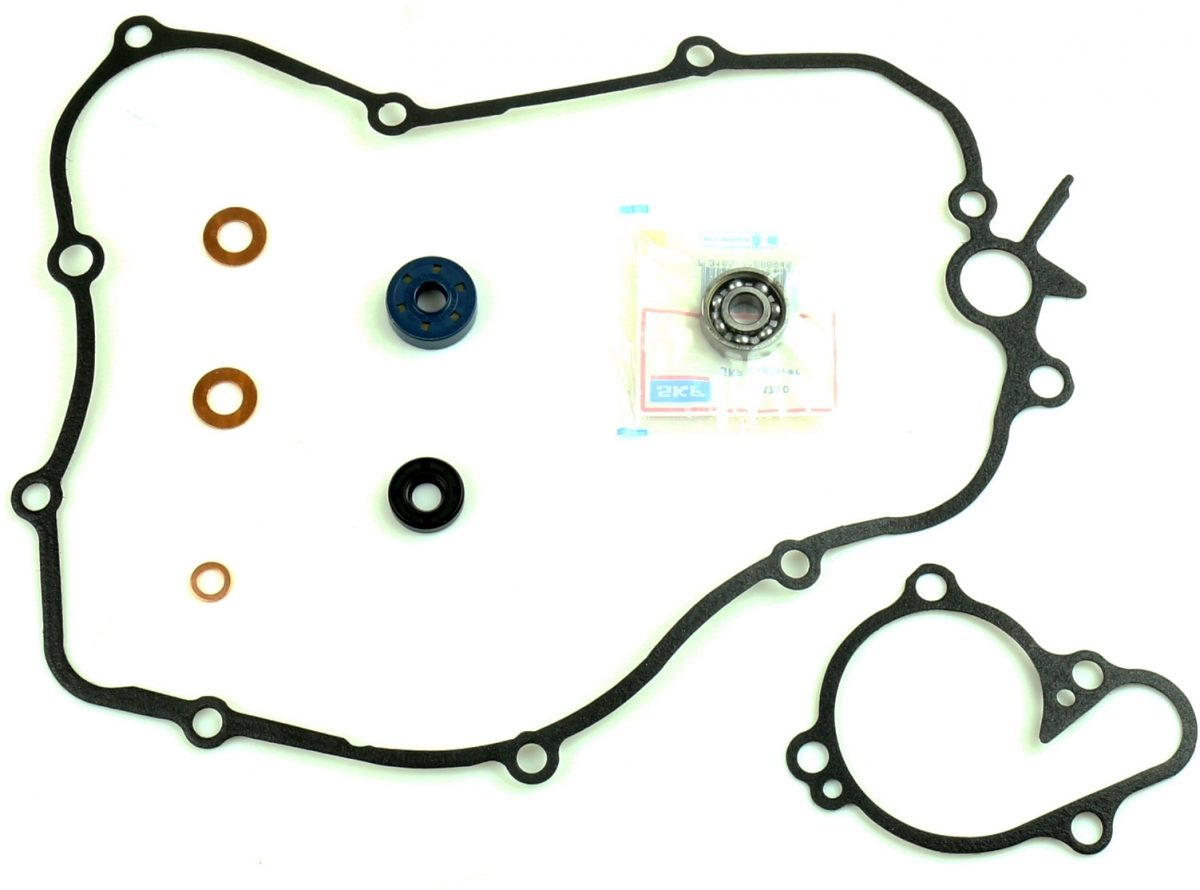 GASKET & OIL SEAL KIT