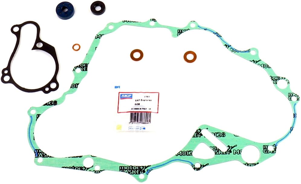 GASKET & OIL SEAL KIT