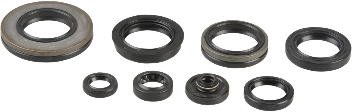 COMPLETE ENGINE OIL SEALS KIT