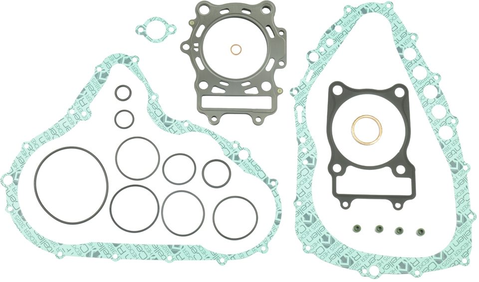 COMPLETE GASKET KIT (OIL SEAL NOT INCLUDED)