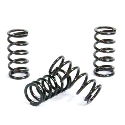 CLUTCH SPRING KIT
