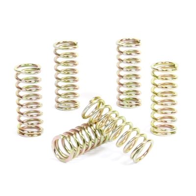 CLUTCH SPRING KIT