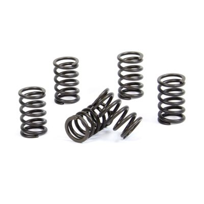 CLUTCH SPRING KIT