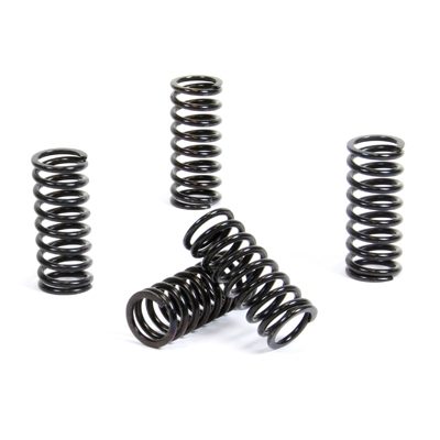 CLUTCH SPRING KIT