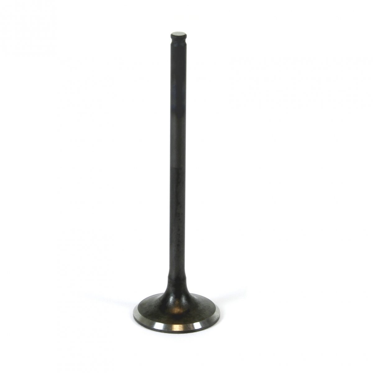 STEEL EXHAUST VALVE