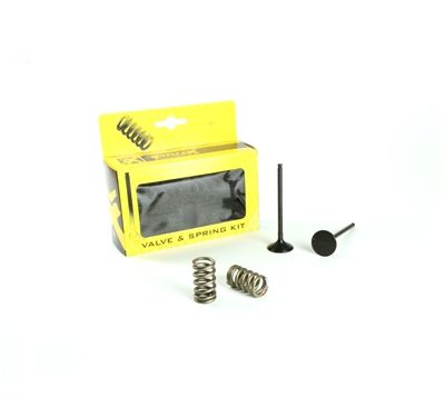 STEEL EXHAUST VALVE/SPRING KIT