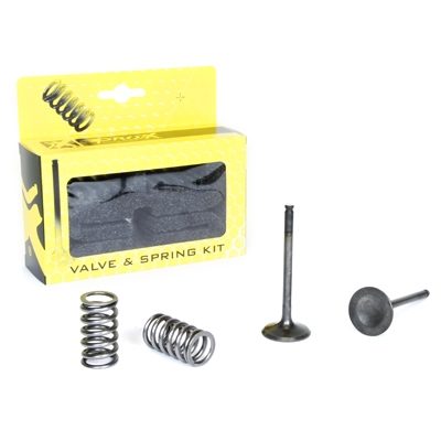 STEEL EXHAUST VALVE/SPRING KIT