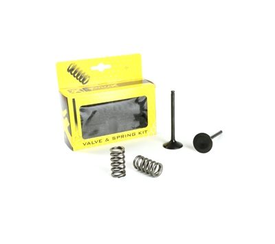 STEEL EXHAUST VALVE/SPRING KIT