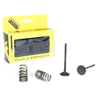 STEEL EXHAUST VALVE AND SPRING KIT