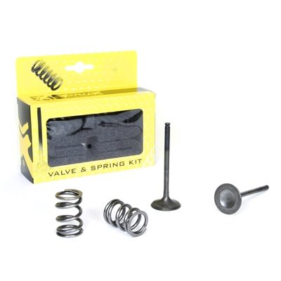 STEEL EXHAUST VALVE/SPRING KIT