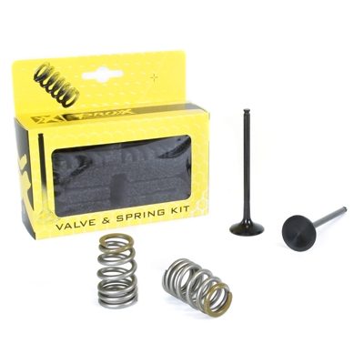 STEEL EXHAUST VALVE/SPRING KIT