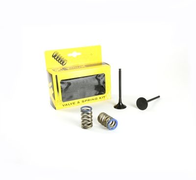 STEEL EXHAUST VALVE/SPRING KIT
