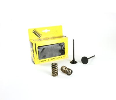STEEL EXHAUST VALVE/SPRING KIT