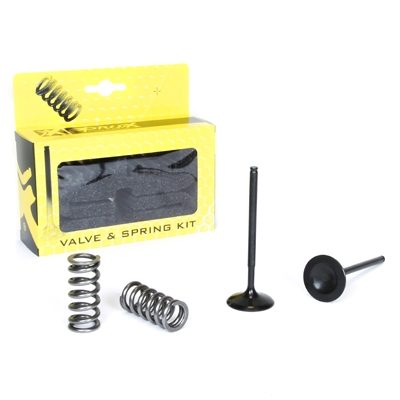 STEEL INTAKE VALVE/SPRING KIT