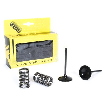 STEEL INTAKE VALVE/SPRING KIT