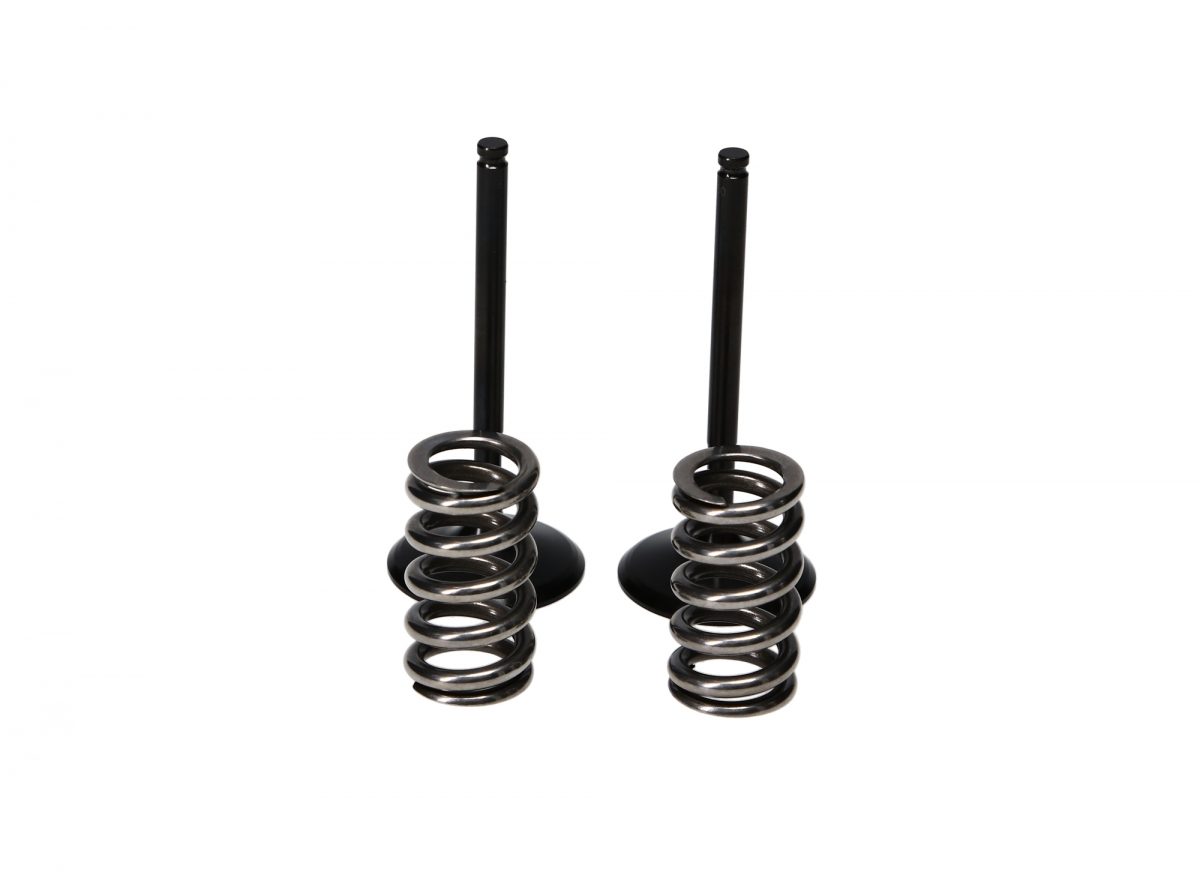 STEEL INTAKE VALVE/SPRING KIT