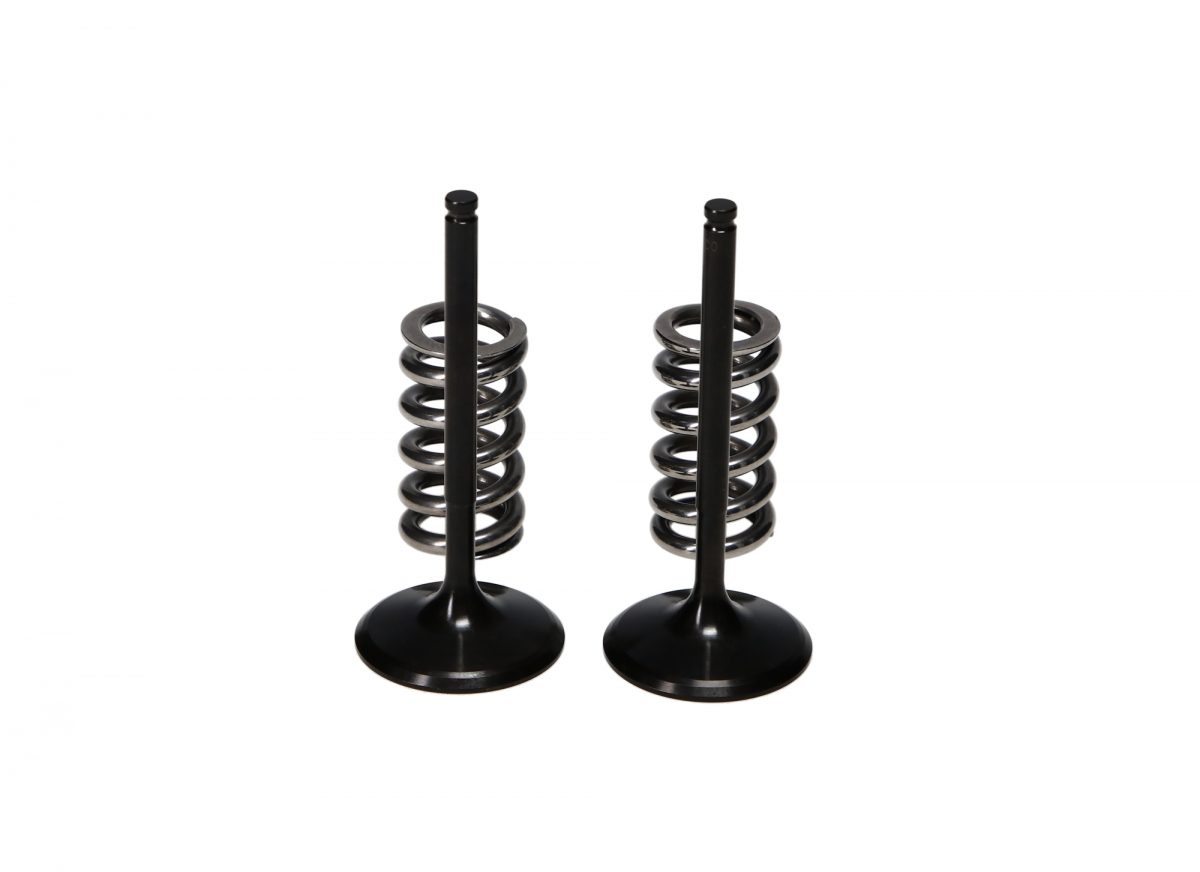 STEEL INTAKE VALVE/SPRING KIT foto 2