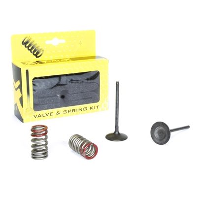 STEEL INT VALVE/SPRING KIT