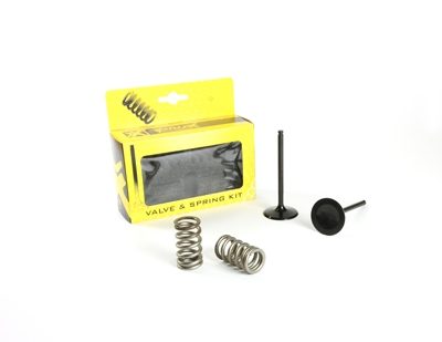 STEEL INTAKE VALVE/SPRING KIT